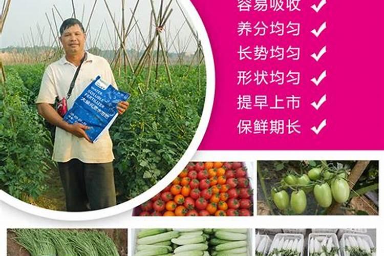 果树专用肥有哪几种