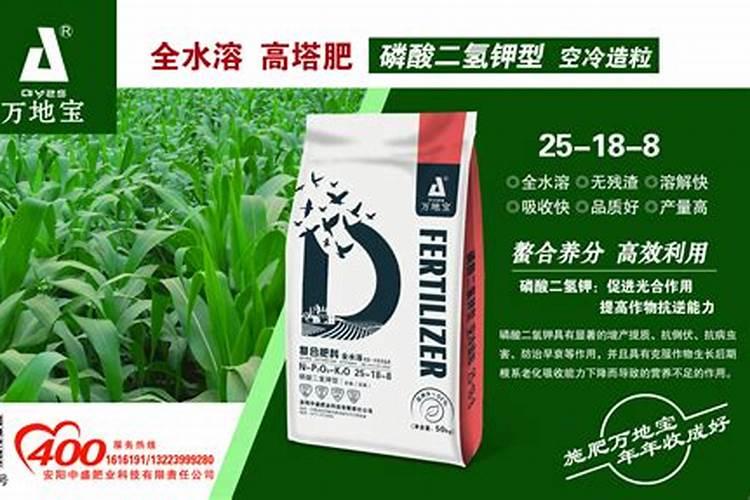 硼肥啥时施最佳 硼肥啥时施最合适