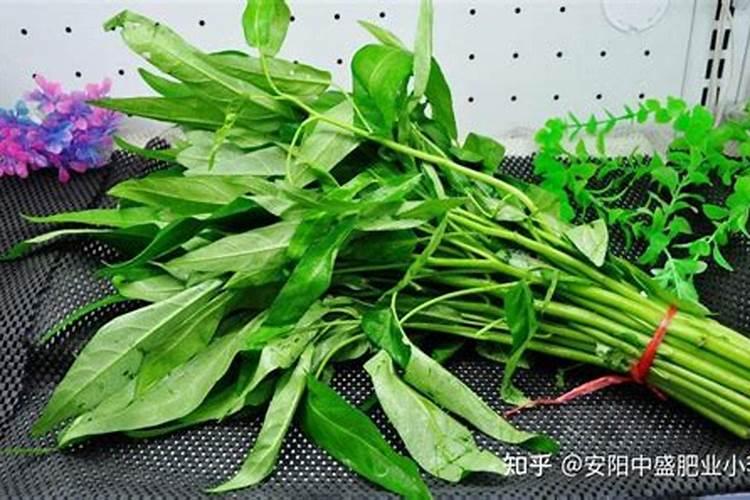 怎样促使葡萄老根生根发芽？
