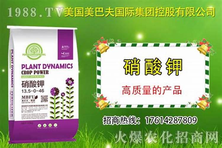 梨树为什么不宜使用氯化肥？