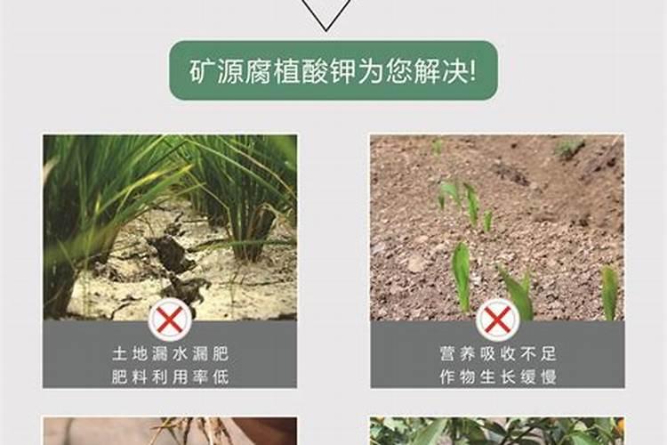 腐植酸钾的主要用途