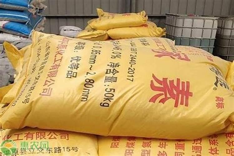 如何为兰花自制磷肥令其开花时间更长