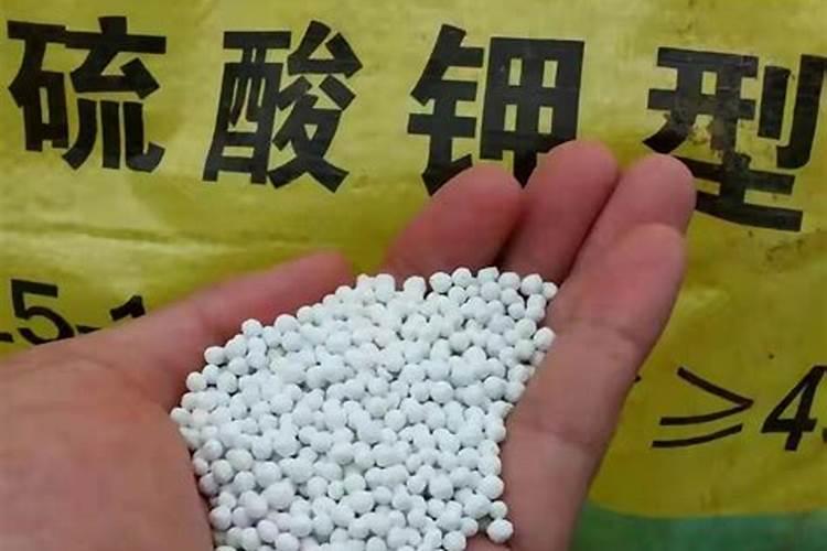 百香果如何施肥？百香果施肥方法