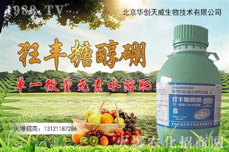 硼肥有哪些