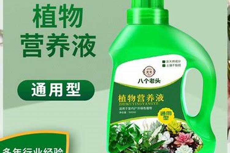 家庭养花最简单的肥料配方  液体肥料配方