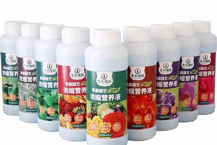 养花用什么肥料长得快 给花施肥的方法