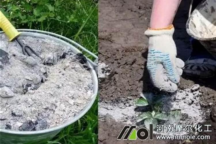 百香果挂果时应该施什么肥？