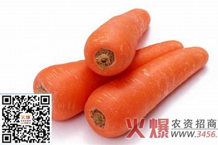 樱桃萝卜田间管理方法