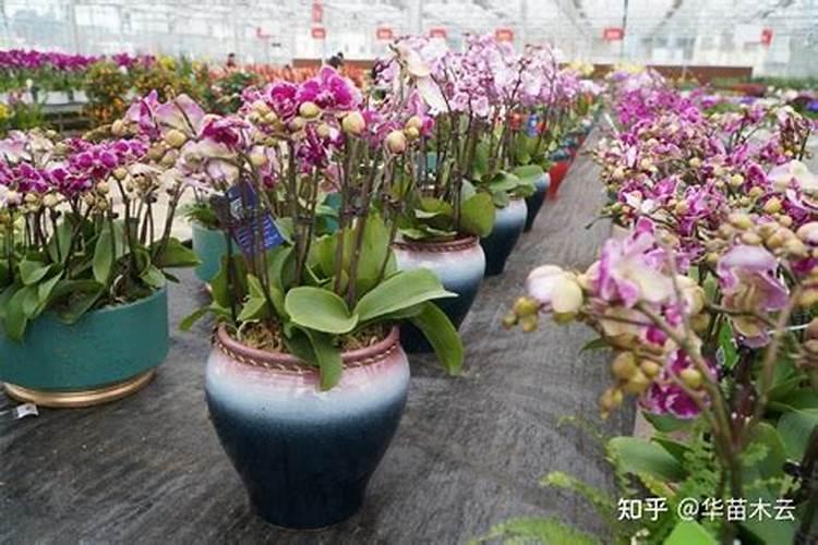 辛硫磷是不是禁止农药