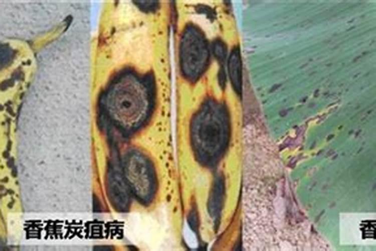 大量元素水溶肥执行标准