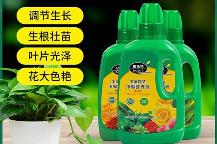 花的营养液怎么用