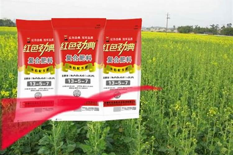 种植油菜为什么要施硼肥油菜啥时候施硼肥好