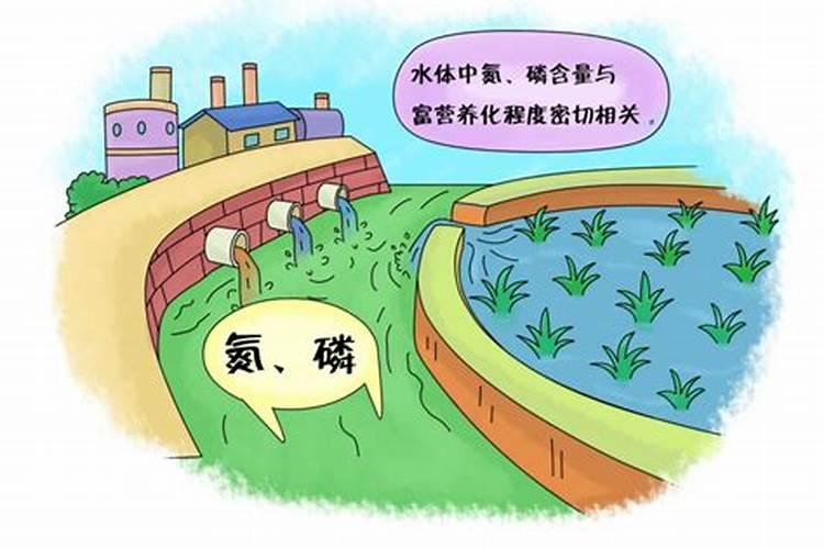 鱼塘水发黑怎么才能让水变清
