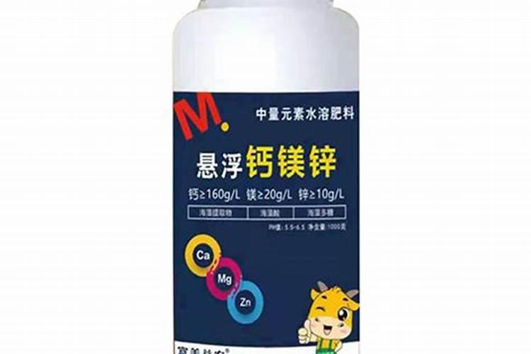 西红柿移栽后怎样管理