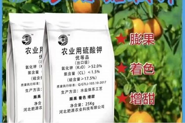 辣椒挂果后施什么肥