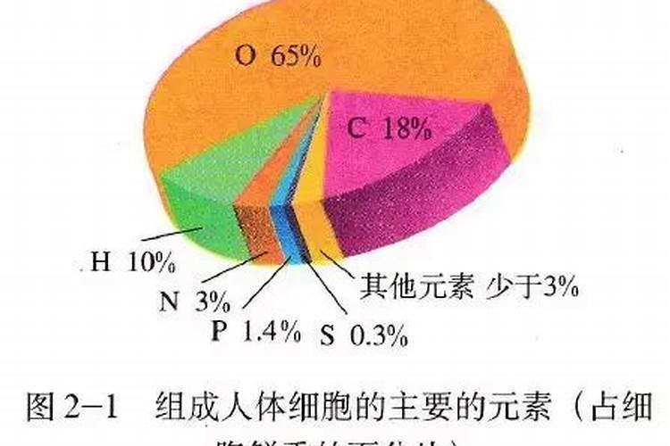 居木粉怎样种菜