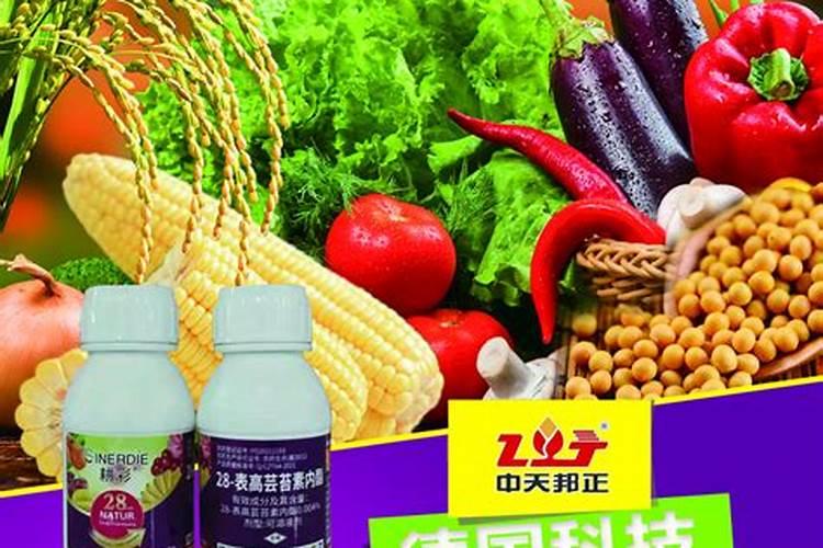 芸苔素用量