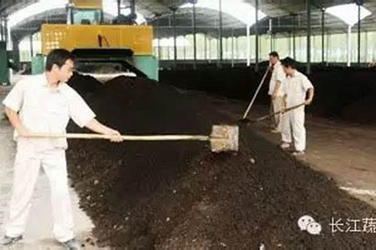 山边的沙土地太瘦了,沙土水流失的太快,用什么肥料好,