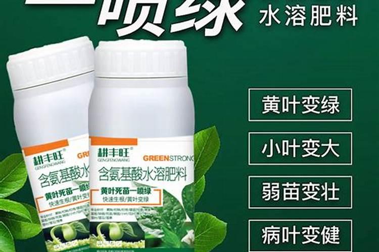 叶面肥加什么浇花最好用