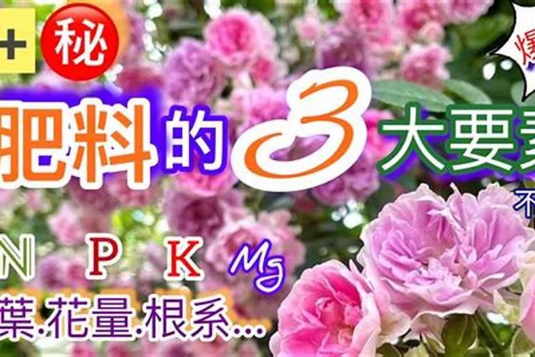 氨基酸水溶肥料的用法有哪些