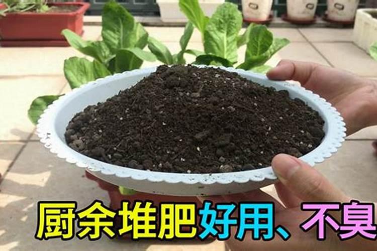 养花怎么选肥料;买花肥啥好