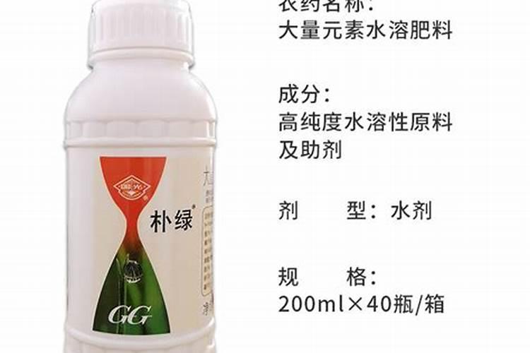 兰花开花时能施肥吗 开花的兰花能不能施肥