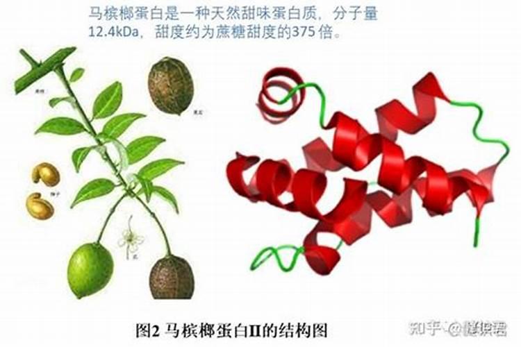 兰花多久施一次缓释肥 兰花缓释肥施用周期是多久？