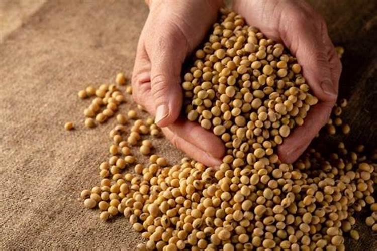磷肥可以兑水浇花吗 磷肥对花卉的作用是什么