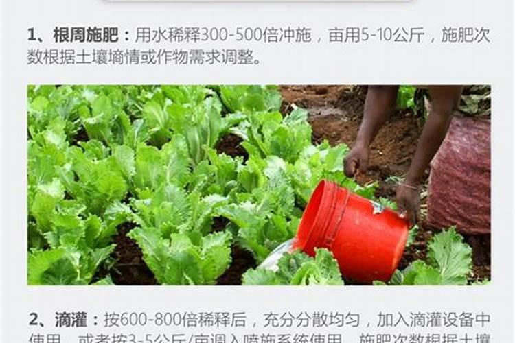硅肥对水稻的作用