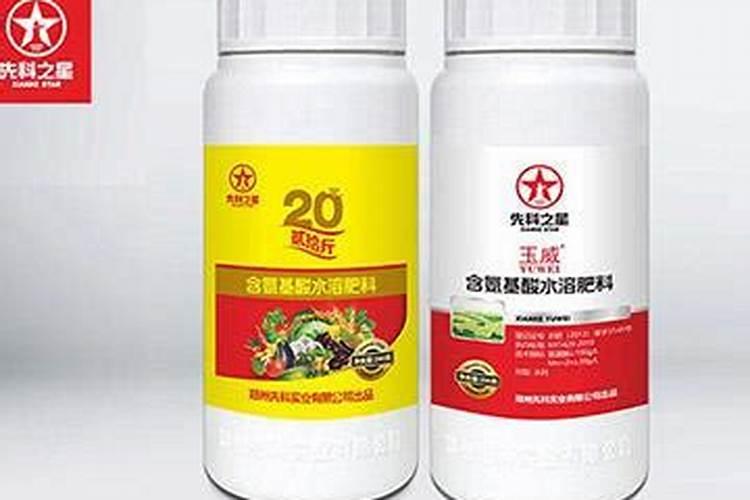 幸福树换土时间和方法
