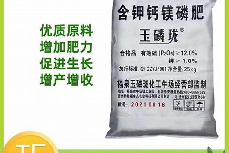 全国最大的核桃种苗输出地全国最大的核桃种植基地