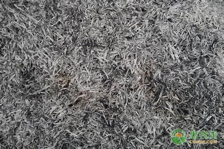 颗粒水溶肥巧棵力有哪些优点？