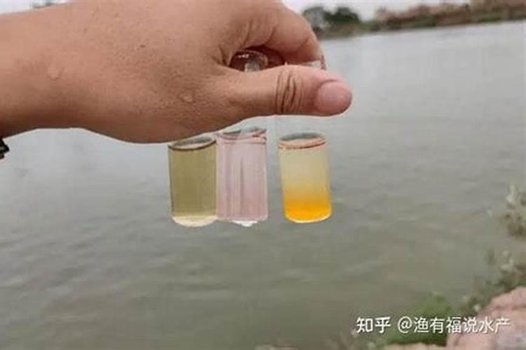 怎么去除废水氨氮,废水中的氨氮怎么去除 沃德凯