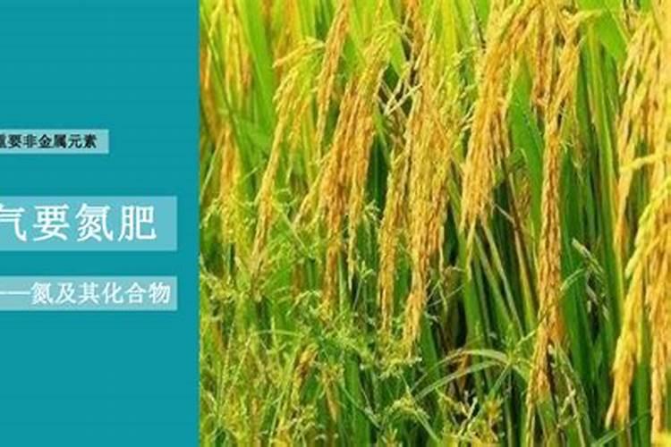 农业大气污染源 是怎样产生的？