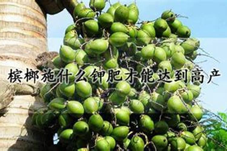 独头蒜的种植方法