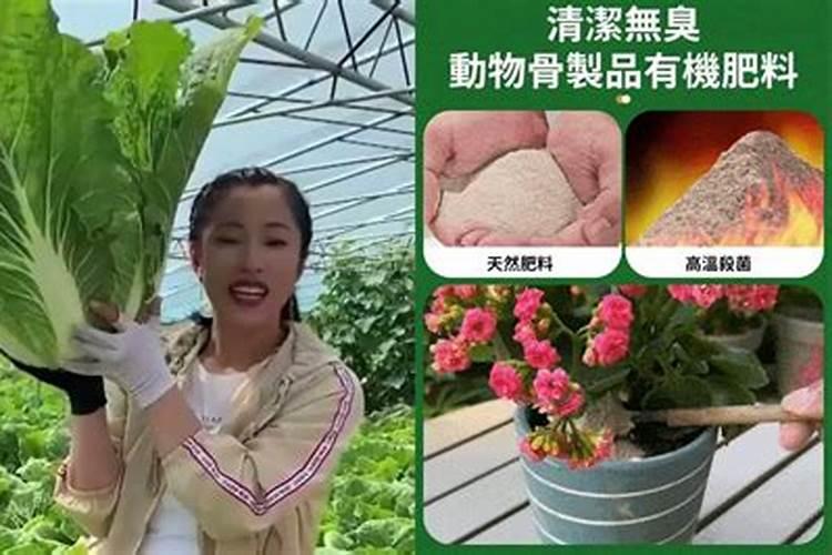 种蔬菜用什么肥料