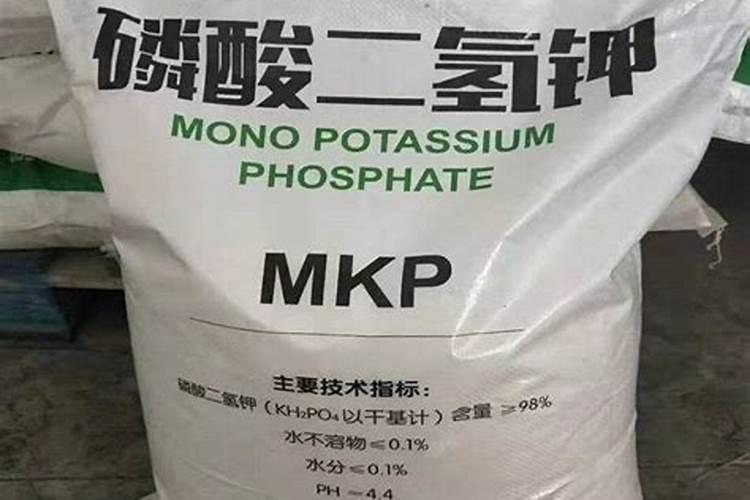 种西瓜用什么肥料
