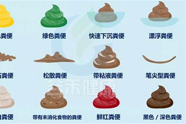什么可以当做养花的肥料;养花的氮肥有哪些