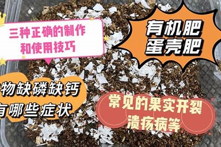 自制水溶肥配比表,水溶肥如何使用