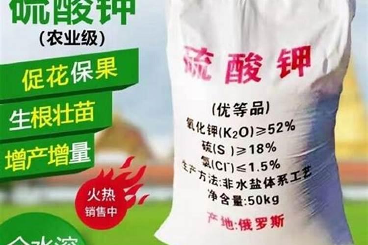最好的兰花杀菌药