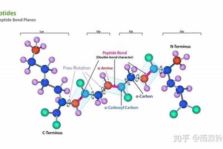 白芸豆高产方法 怎么让白芸豆高产