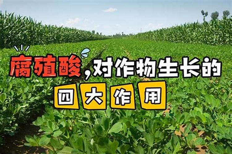 腐植酸钠水产养殖作用