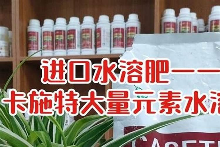 叶面肥三天喷一次可以吗