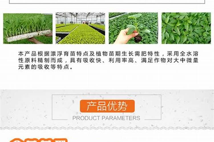 天脊16620硝酸钾水溶肥的批发价格是多少？