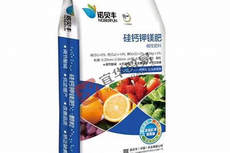 如何防止果树烂根？
