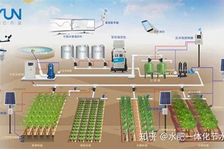 水溶肥料有哪些种类 水溶肥选哪种剂型好
