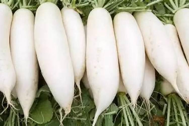 沃柑果树开花时干旱天气久了可以直接淋肥吗？