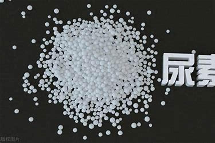 氮肥叶面肥有哪些,氮肥利用率