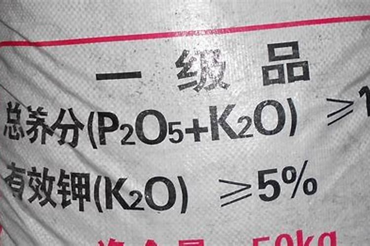 农大玉米种子有哪些