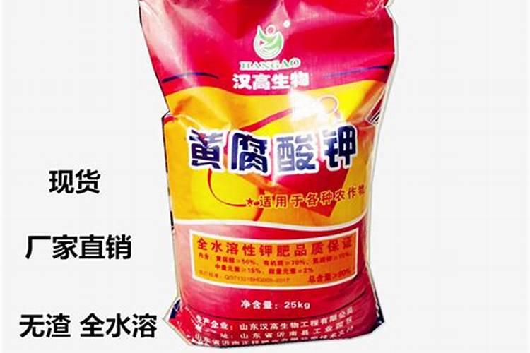 农大玉米种子有哪些
